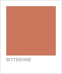 Orange Bittervine C2 Barry Dixon Paint Color